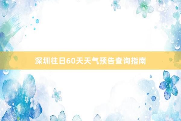 深圳往日60天天气预告查询指南